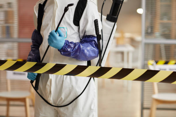 Professional Odor Removal technician working in Milford, UT